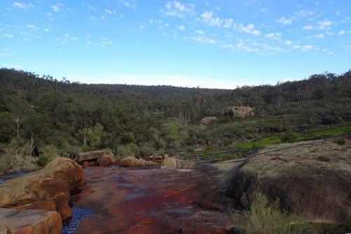 John Forrest Nationalpark