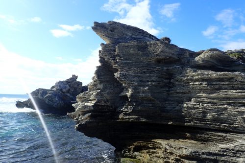 Klippe auf Rottnest Island