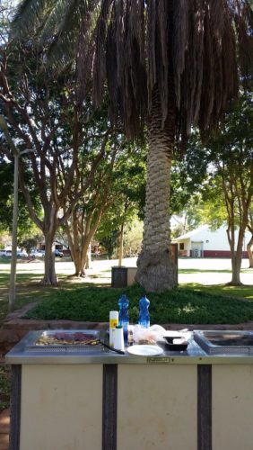 Mittag unter Palmen