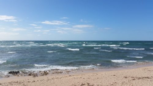 das Mildura Schiffswrack an der Küste von Exmouth
