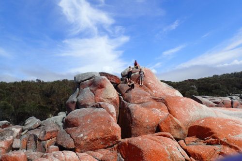 unsere kleine Reisegruppe in Tasmanien